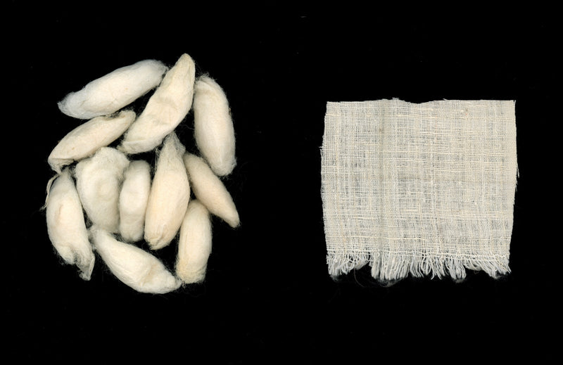 Eri Silk