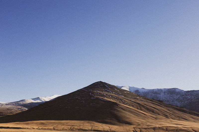 Wools from Changthang