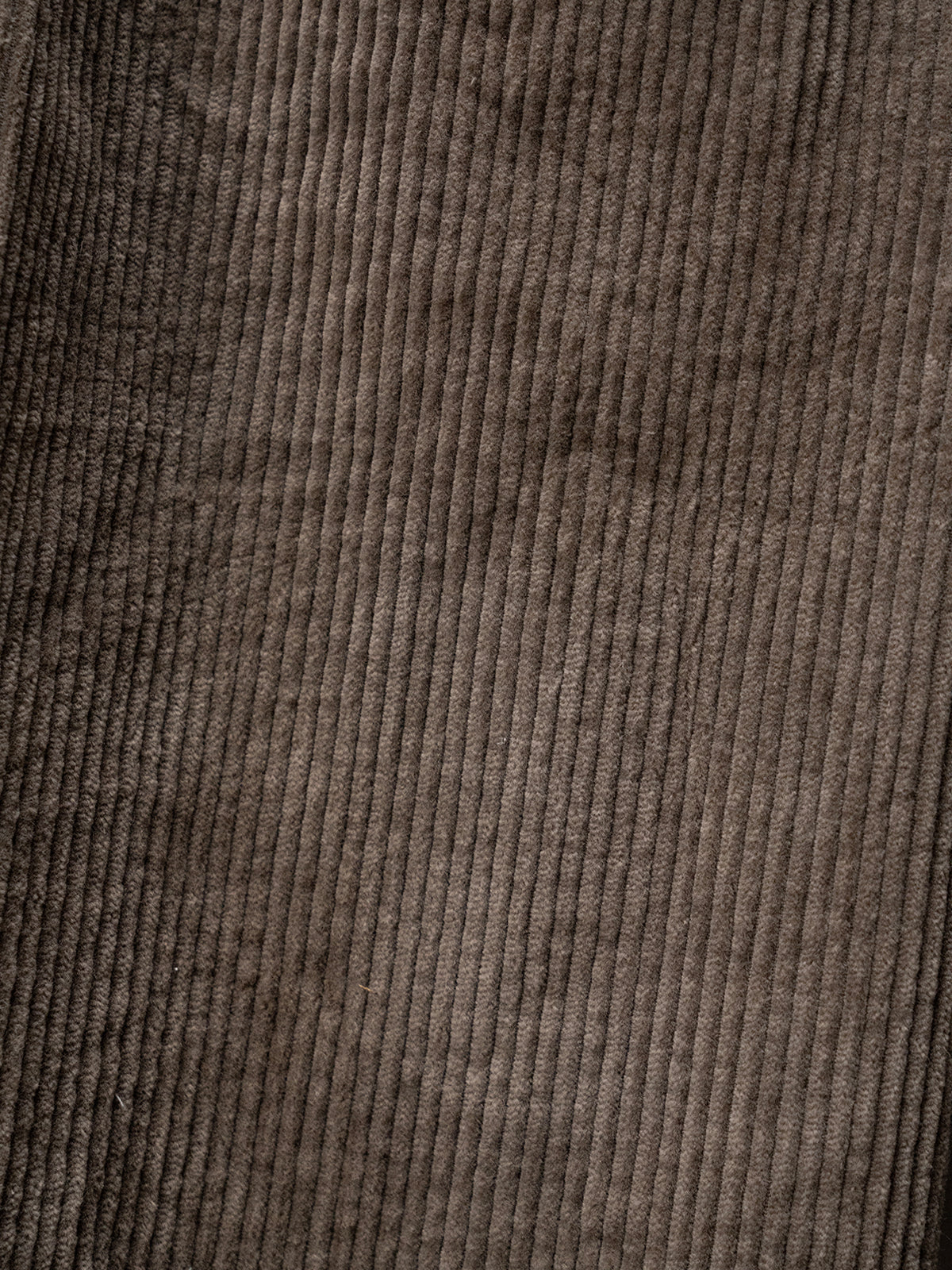 Tobi Pant