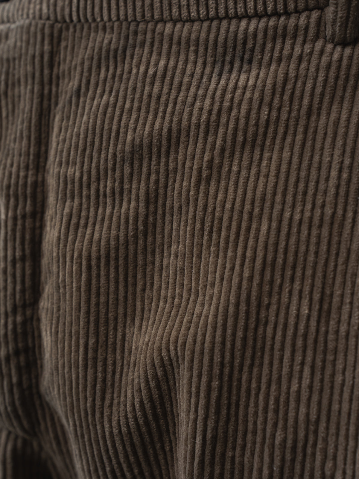 Tobi Pants