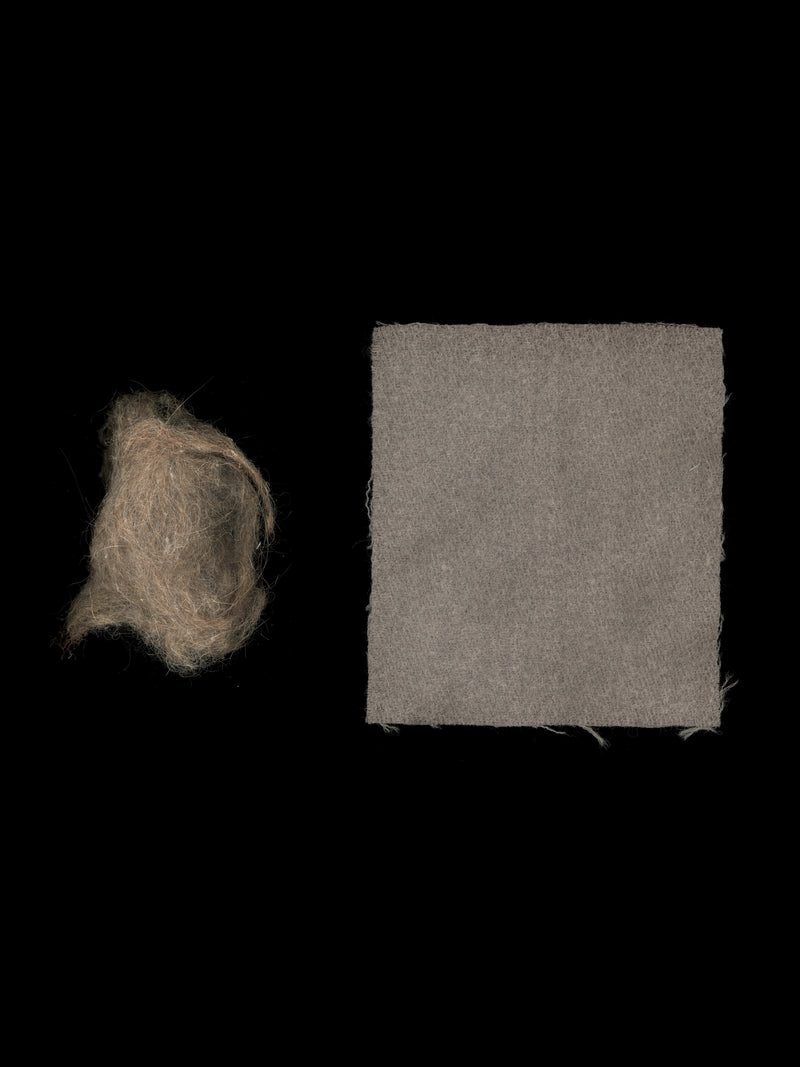 Bactrian Camel wool